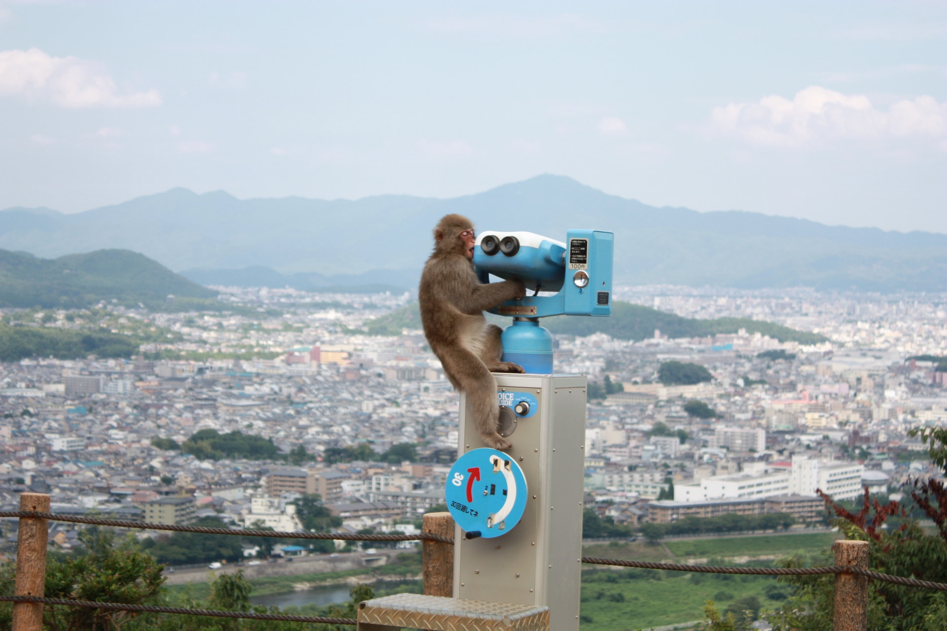 Arashiyama-monkey park