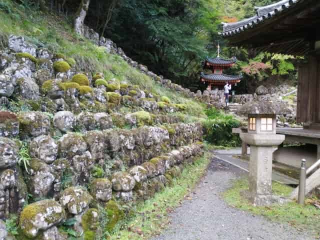 Odaginenbutsu-temple(Arashiyama)