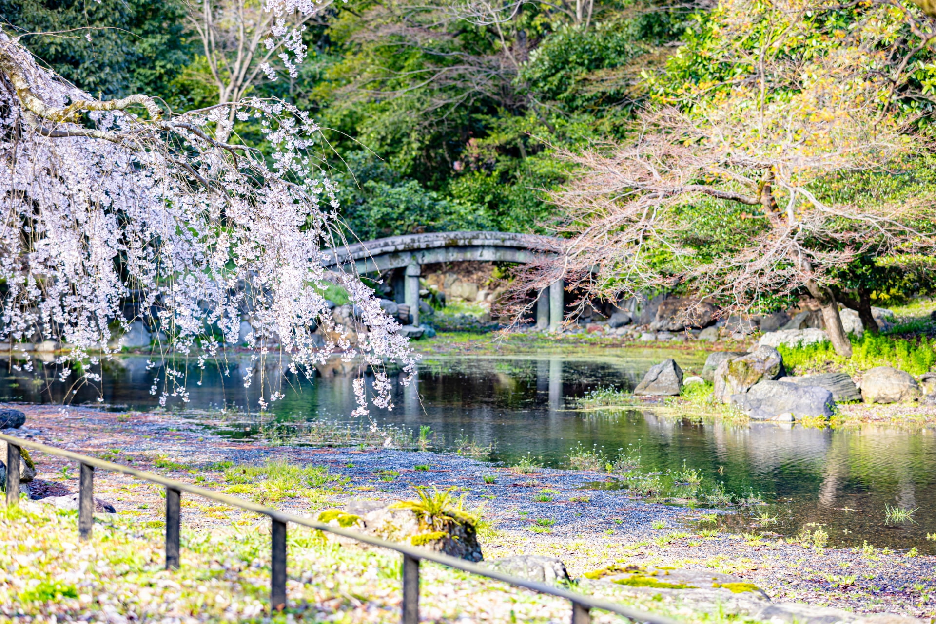 Kyoto Goen