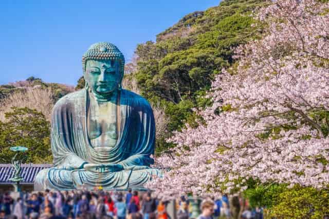 The Great Buddha (Kotoku-in)