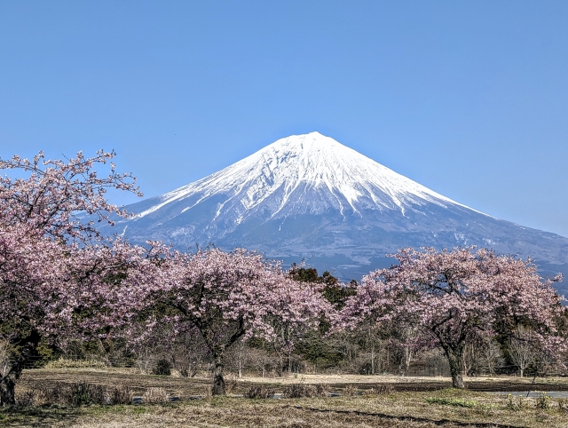 Mt.Fuji